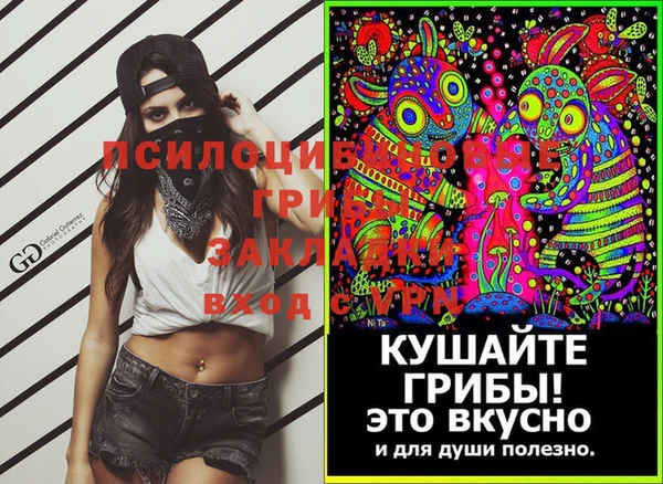 мяу мяу мука Баксан