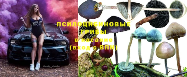 мяу мяу мука Баксан