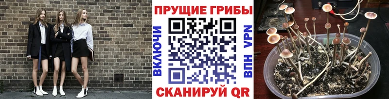 Галлюциногенные грибы мухоморы цены наркотик Билибино